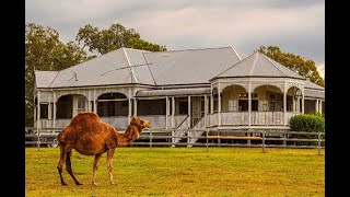 From the Gold Coast journey through the Scenic Rim, a region sculpted by ancient volcanic activity and adorned with majestic mountains.