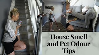 HOUSE SMELL AND PET DOG ODOUR TIPS AND HACKS | HOW TO MAKE YOUR HOUSE SMELL NICE | ELLIE POLLY