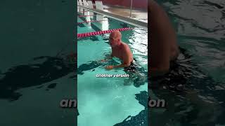 #1 Style to improve Freestyle