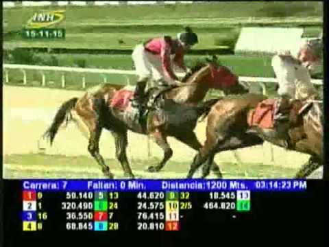 Resumen Domingo, 15 de Noviembre de 2015 - La Rinconada