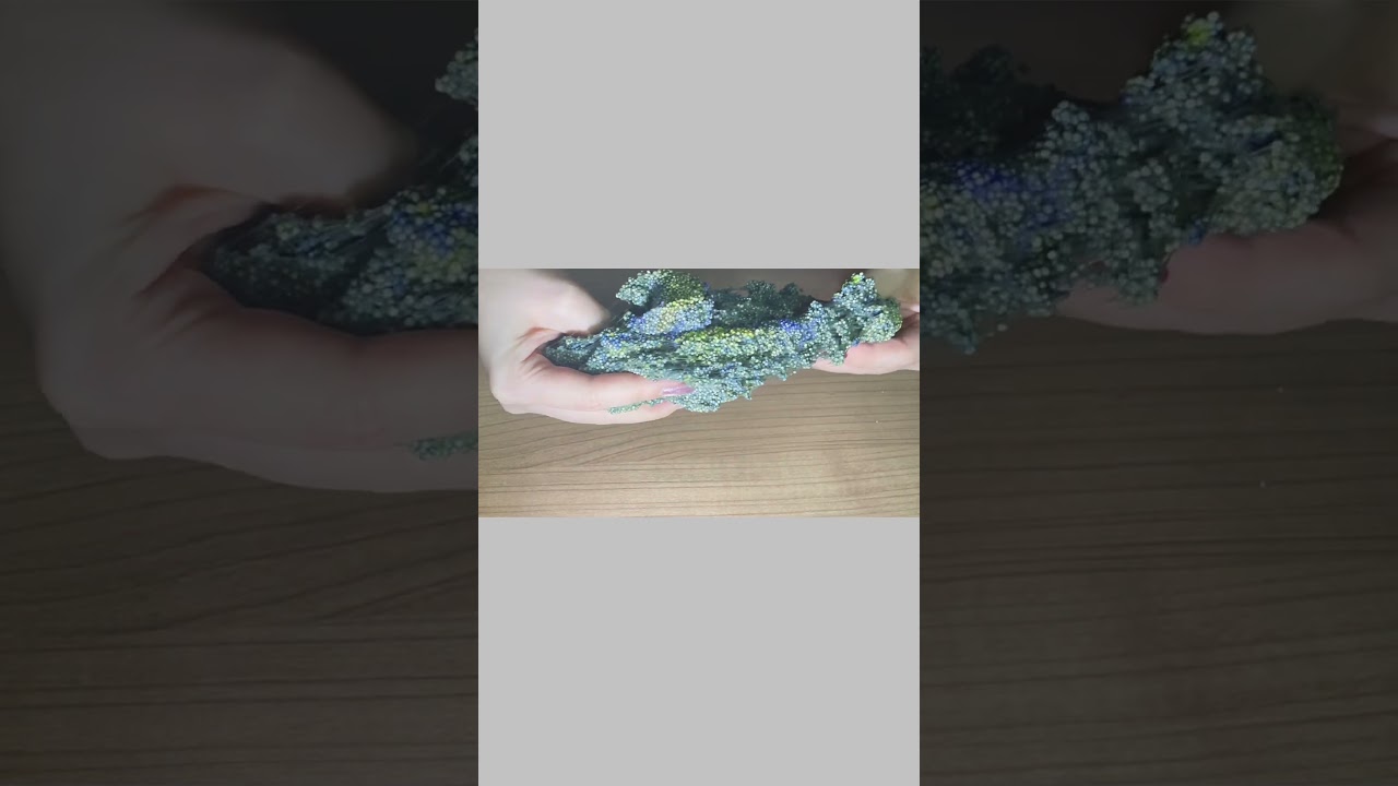 つぶつぶねんど全部混ぜてみた #asmr #slime #odlysatisfying #asmrsounds