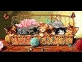 СП "Мои любимые коты" от Дима "Новорожденные котята" 