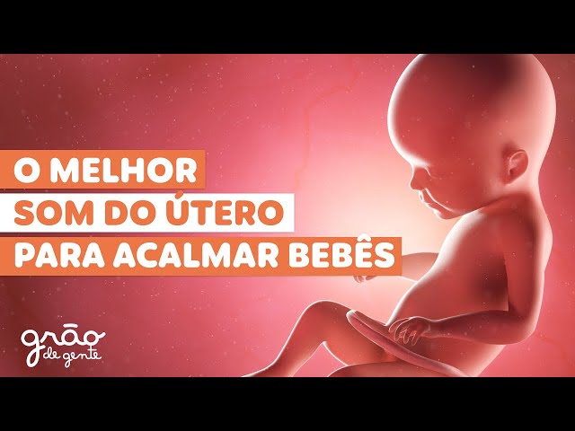 SOM DO ÚTERO PARA O BEBÊ DORMIR A NOITE TODA! (aspirador/ liquidificador)