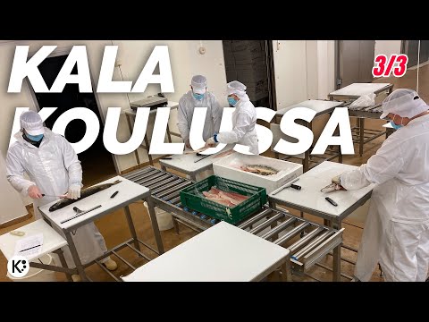 Päivä KALAKOULUSSA 3/3 - Kalanjalostusta
