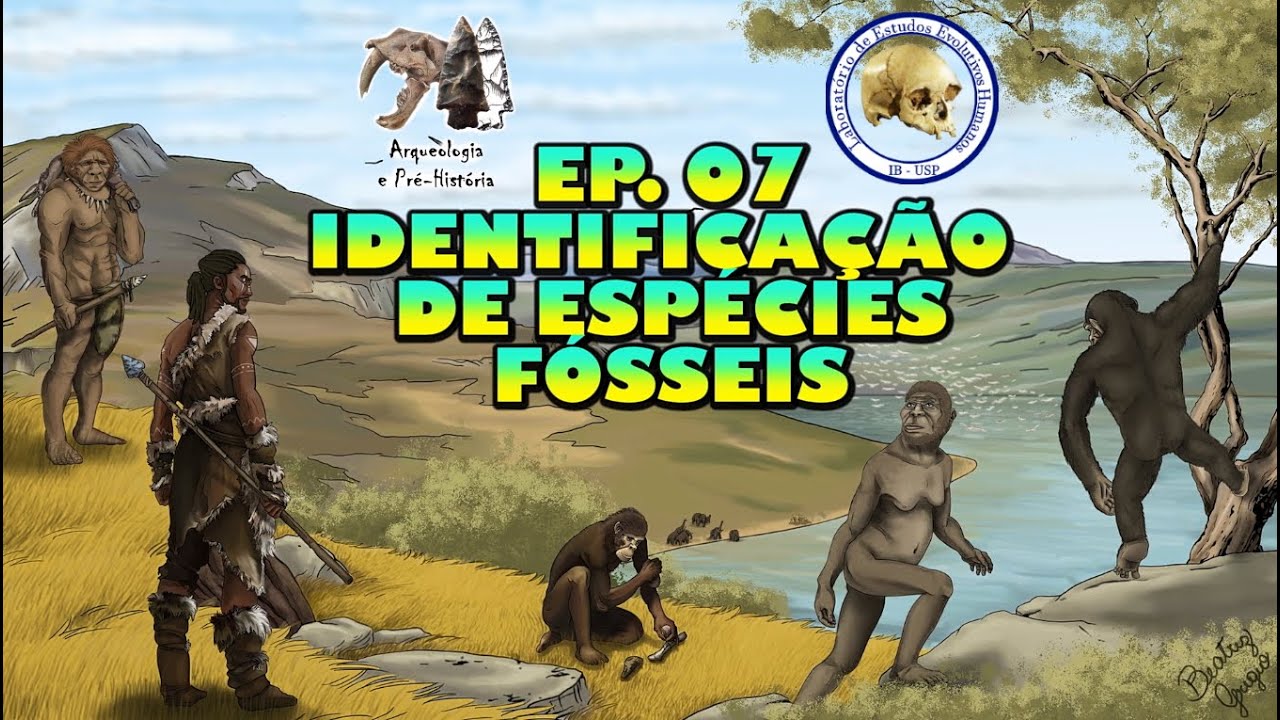 Identificação de espécies fósseis | Série Evolução Humana | Ep. 07