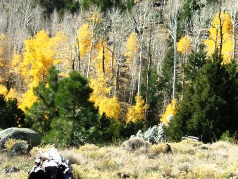 The Great South West