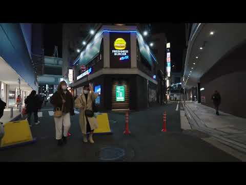 Yokohama Station - Night Walk
