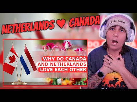 Why Do Canada And The Netherlands Love Each Other | Australian Reacts | AussieTash