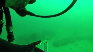 Scuba Duba Diver Down