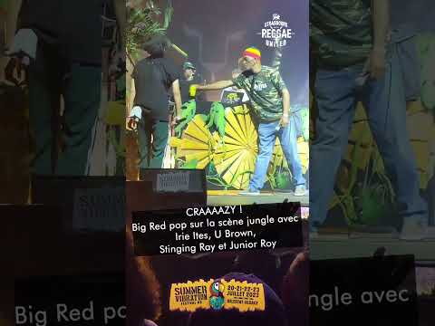 Craaaazy! Big Red avec Irie Ites, U Brown, Stinging Ray et Junior Roy SUMMER VIBRATION FESTIVAL 2023
