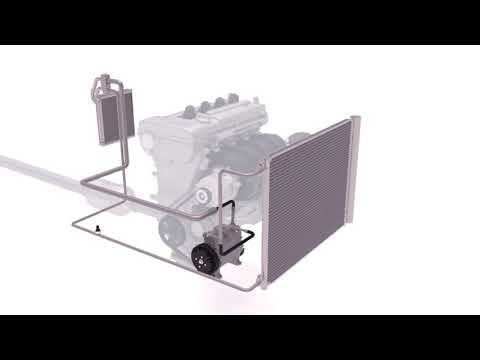 Compressor Oil