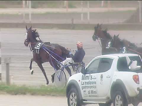 Trotto 31/05/2019 - 3ª corsa