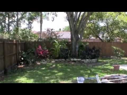 East Lake Woodlands Home for Sale with Pool - Preview