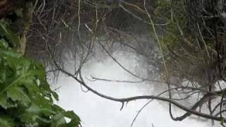 preview picture of video 'White water in Ojen River March 2010 as seen below my terrace.'