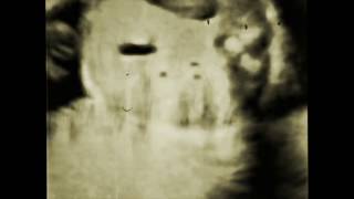 The White Noise - Innocent Until Birth