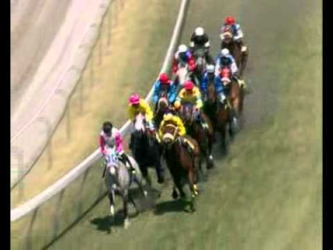 Star Billing Day29 Race2.flv