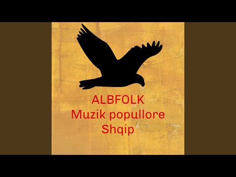 2-kolazh Jugu (ja thoshte bilbili,me shendet ma mbaj fustane)