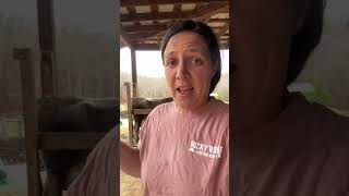 With growth comes adjustments. Thank yall for being here!