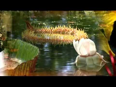 Hira FFPM 526 jEROSALEMA AMBONY( Feon-Dehilahy FLM Ambatovinaky )