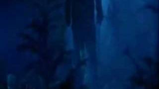 SoMeBoDy'S WaTcHinG Me - RaunCHy