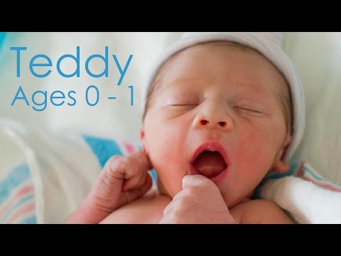 Teddy Ages 0 - 1