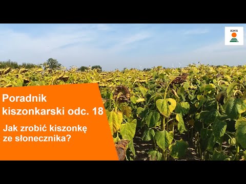 , title : 'Poradnik Kiszonkarski KWS odc. 18 - Jak zrobić kiszonkę ze słonecznika?'