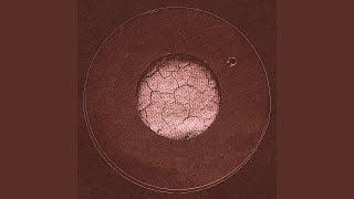 Percussion Discussion (Live Take)