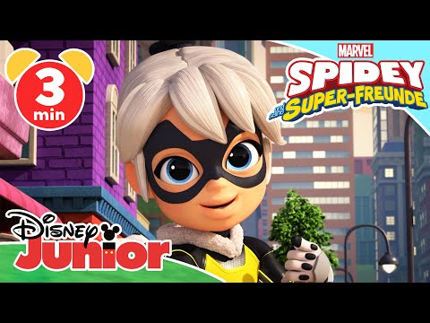 🕸️ Eine unbekannte Diebin! | Marvels Spidey und seine Super-Freunde