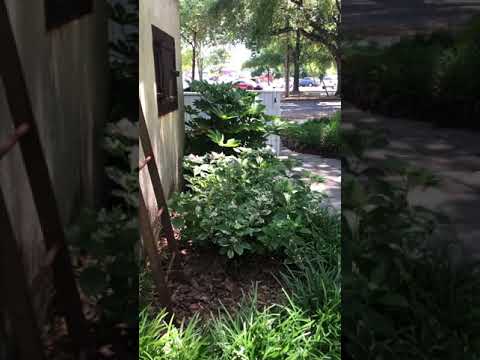 Station No. 2 - Wilmington, NC - Wedding Venue