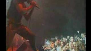 Big Dog Video Productions, Va. Presents: Fighting Gravity