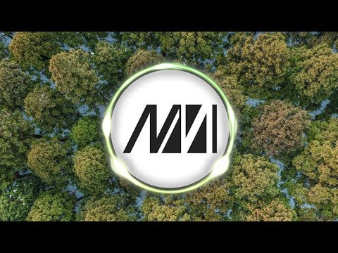 MitiS - Forests (feat. Lauren Hunter) Video