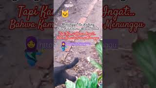 Download lagu Wanita Berjilbab Open BO Menunggu itu Bisa Bikin Kamu Bosan, tp Kamu Harus Ingat! Sdg Menunggu- Meme mp3 Download lagu Wanita Berjilbab Open BO Menunggu itu Bisa Bikin Kamu Bosan, tp Kamu Harus Ingat! Sdg Menunggu- Meme mp3