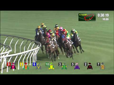 6/4/2022 (558) Natural Storm - J Moreira