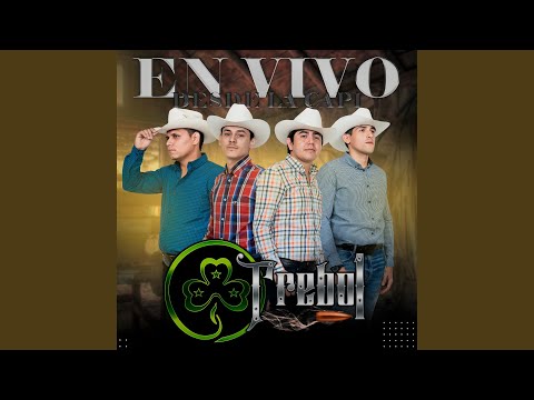 El gavilan (En Vivo)