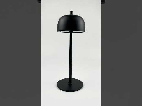 Настільна акумуляторна LED лампа 3000 mAh 2W 2500-6500К USB чорна