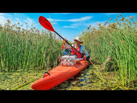 4 zile in Delta Dunarii | Aventura si explorare in caiac, spre Marea Neagra