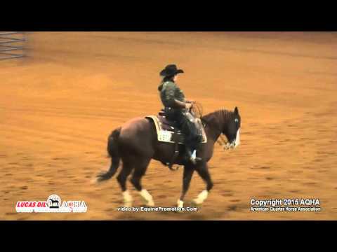 SMOKEN GUNNER ridden by TIFFANY M MONTGOMERY  - 2015 AQHA World Show (Prelims - Sr Ranch Riding)