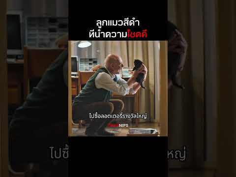 ลูกแมวสีดำทีนำความโชคดี  #รีวิวหนัง #สปอยหนัง  #หนัง