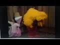 Big Bird And Gabi Dance Wedding Dance