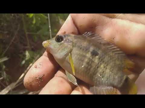 PESCARIA NO RIACHO E NO RIO 