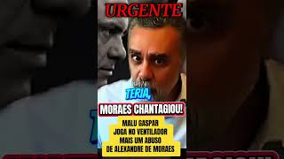 MALU GASPAR SOLTA MAIS UMA BOMBA PRA CIMA DO XANDÃO! #noticia #brasil #bolsonaro