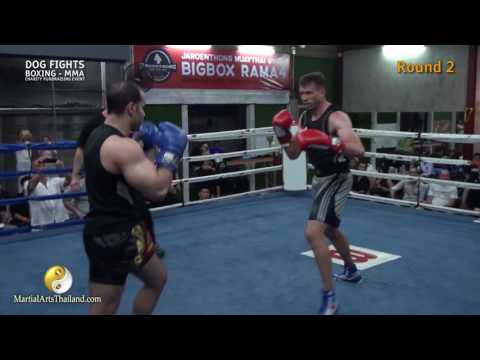 Butch Cassidy VS Fadi Issa - BOXE - "Dog Fights" 2017 RAW VIDEO
