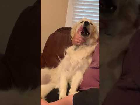 Clinical Skills Final OSCE Oral Exam (Station 3)