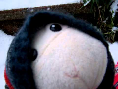 Das hysterische Schaf: Bilderrätsel im Schnee