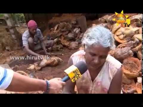 Hiru TV