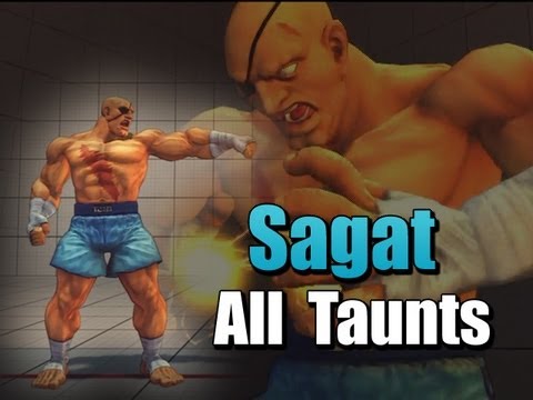 Super SF4 AE Sagat All Taunts
