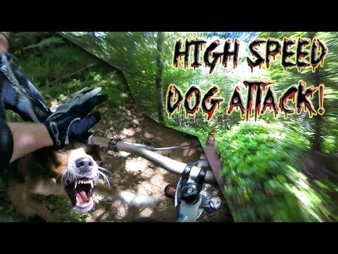 High Speed Single Track with Dog Attack!