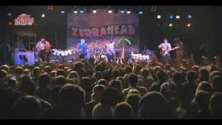 Zebrahead - Two Wrongs Don&#39;t Make a Right, But Three Rights Make a Left - Desperados Stagedive 2011