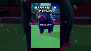 ブータの人生『ポケットモンスター スカーレット・バイオレット』#shorts