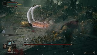 ELDEN RING ゴドリック撃破
